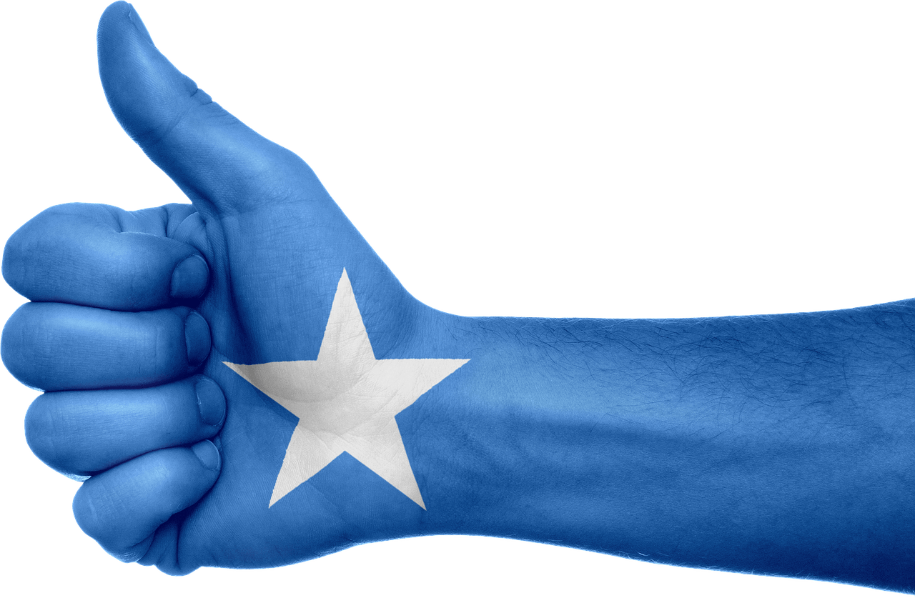 somalia, flag, hand-990492.jpg